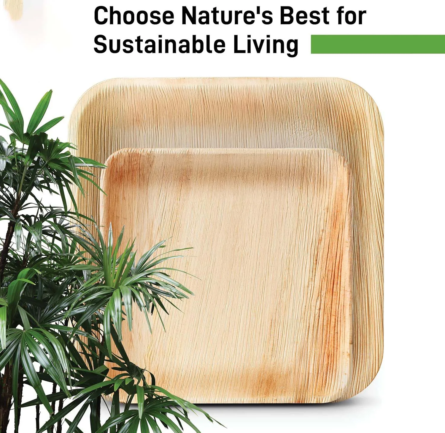 Disposable Party Appetizer Cooked Food Plate, Palm Leaf Material Can Be Stacked and Biodegradable Disposable Tableware, Suitable for Holiday Parties and Parties