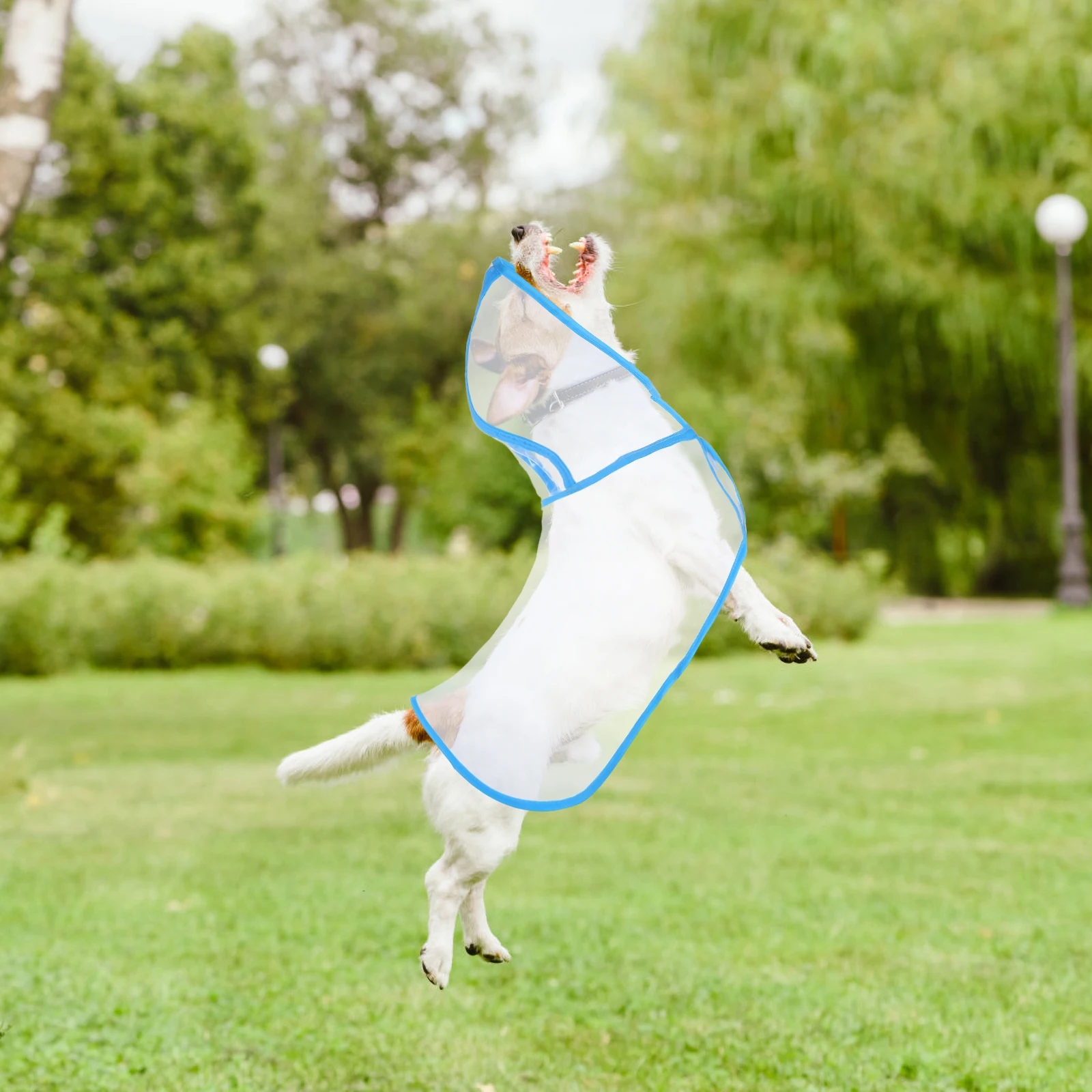 

Waterproof Transparent Pet Raincoat for Small Medium Dogs Puppy Rainwear Clothes Lightweight Packable Poncho Dog Raincoat