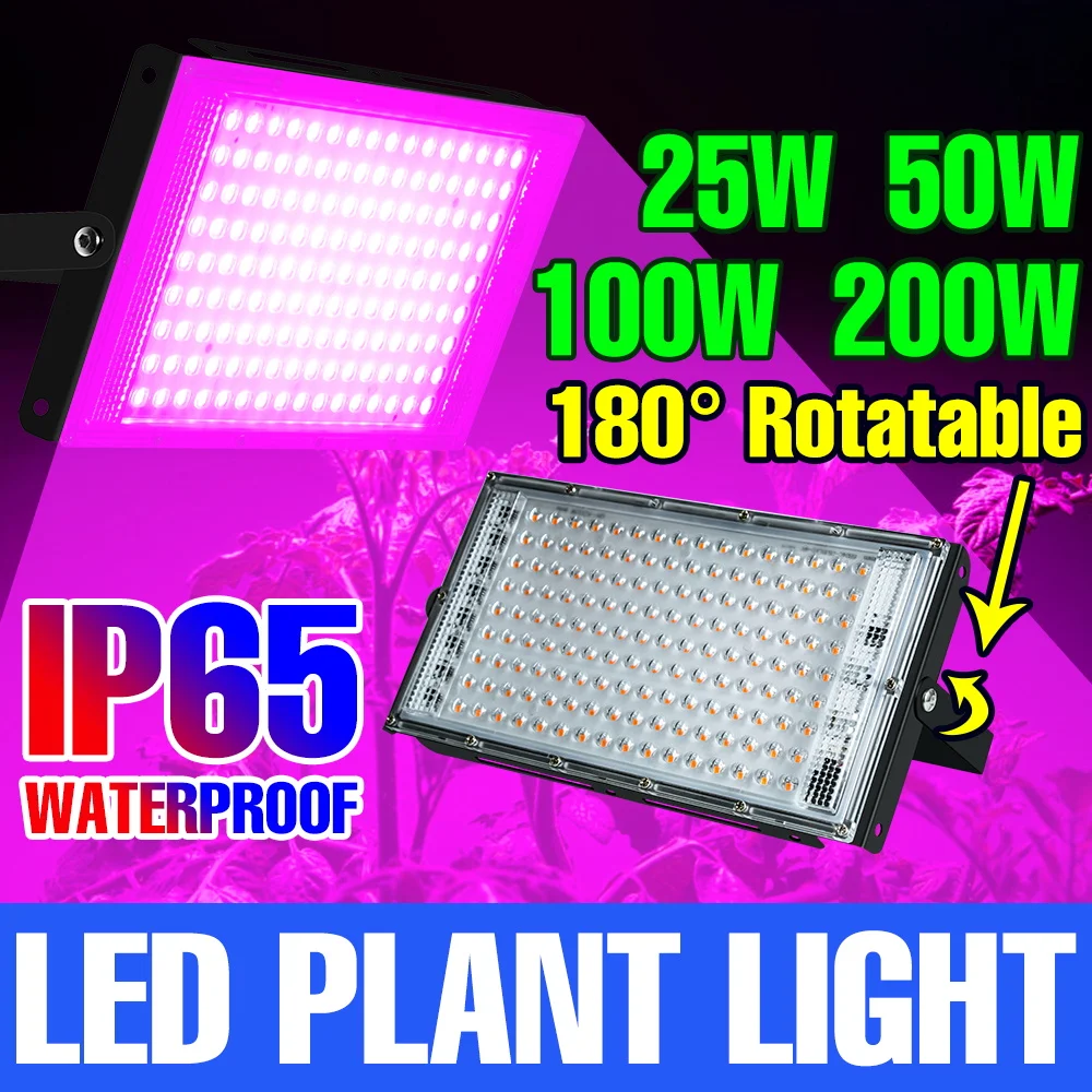 

200W LED Full Spectrum Plant Grow Light 220V Hydroponic Fill Lamp Greenhouse Tent Vegs Flowers Succulent Cactus Cultivated Lamps