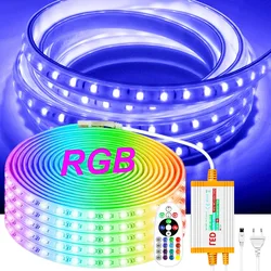 Super Bright 220V EU Led Strip Light RGB 4Pin 5050 Flexible Tape IP67 Waterproof 1m-100M 60LEDs/M with 1500W IR Remote Control