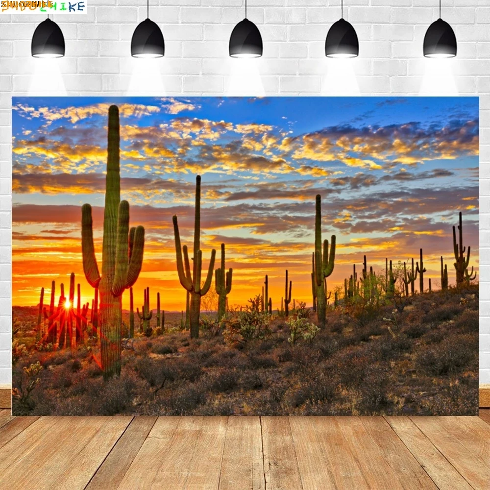 

Cactus Desert Scene Backdrops for Photography Dusk Desert Mountain Shrub Hillside Blue Sky Cloudy Natural View Photo Background