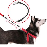 Dog Leash Extend Leashes Rope Elastic Dogs Leash 45cm Extension Leashes for Dog Walking Safety Pet Chain Ropes Pet Accessories