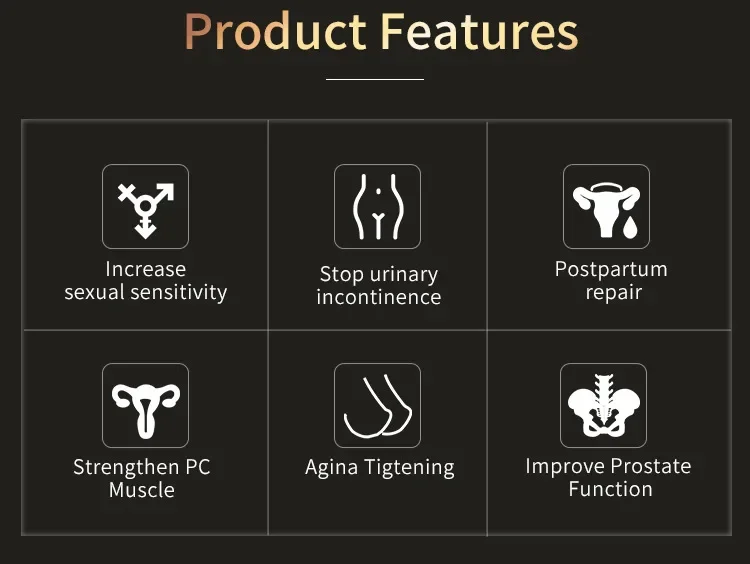 2026 3 in 1 Ems Physiotherapy Clinic Pelvic Training Floor Muscle Repair Ems Chair Pelvic Floor Foot Massage Back Massage Ems