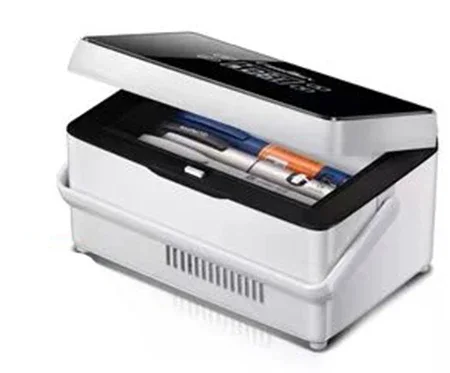 12v 1.5L mini usb refrigerator battery cooler box with portable for insulin