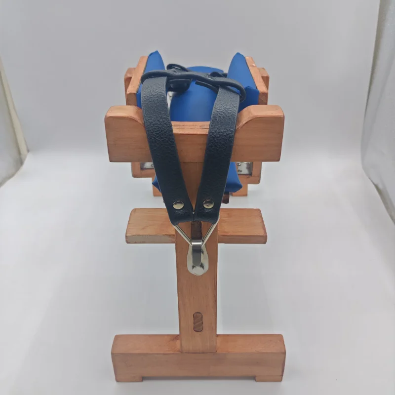Pet Acupuncture Rack Dog Fixed Rack Anial Diagnosis and Treatent Rehilitation Pet Products