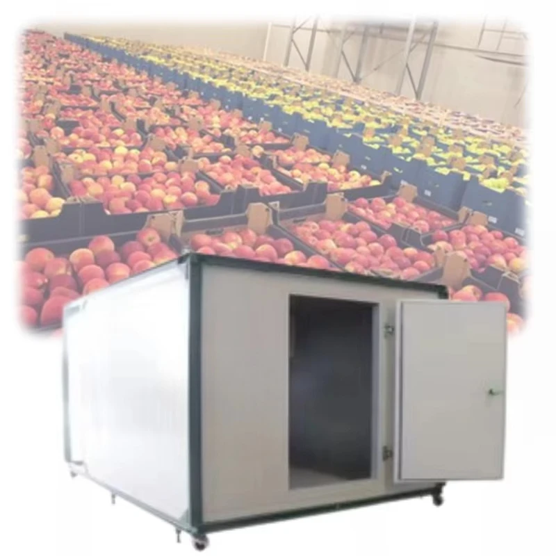

Coolers and blast freezers for meat storage in cold rooms