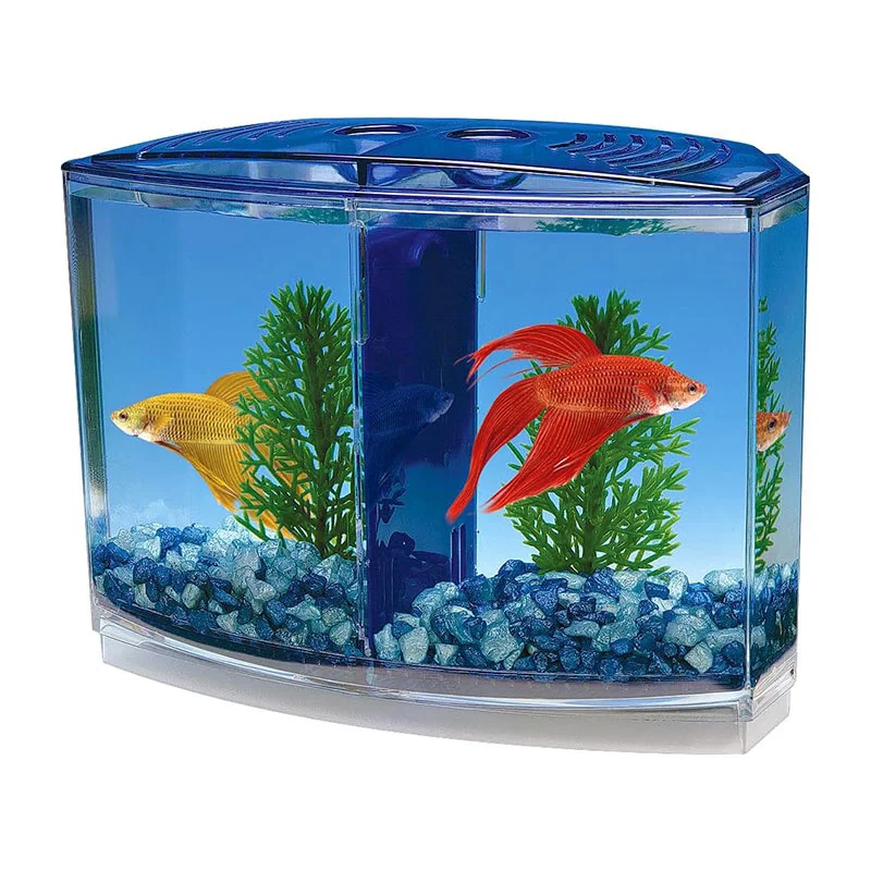 Large Double Compartment Fighting Fish Box Eco Rumble Fish Aquarium Mini Aquarium Plastic Isolation Box Breeding Box