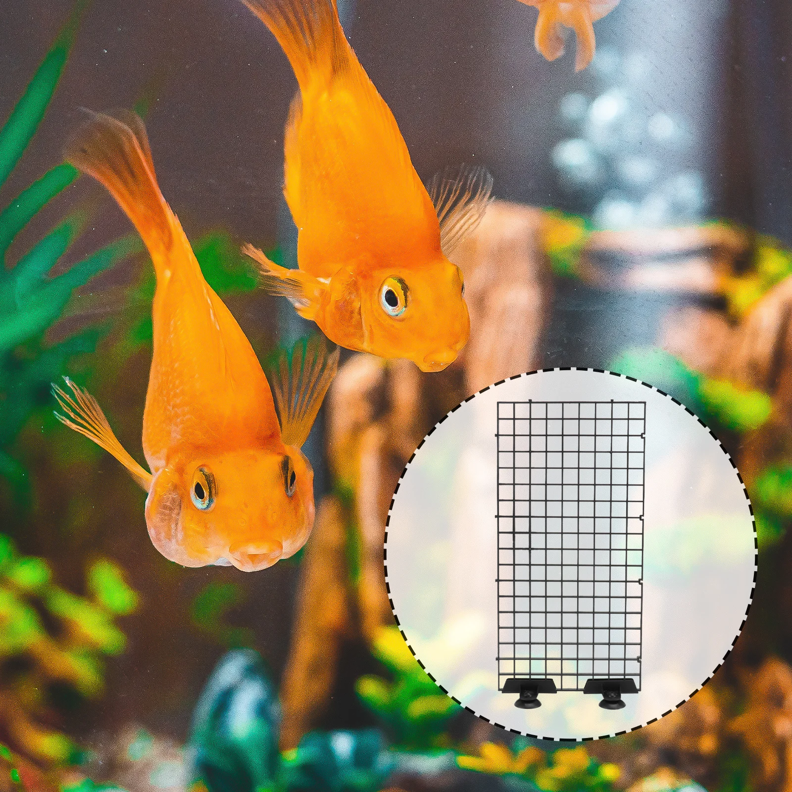 

Big Size Fish Breeder Net for Aquarium Plastic Filter Grid Plate with Clamps Fry Segregation Board Fish Box Net