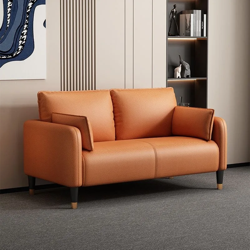 Sofa living room Small apartment Simple modern apartment Light luxury bedroom Rental room Double triple clothing store