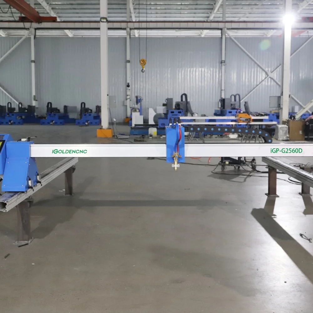 

Professional Dual Track Portable CNC Plasma & Flame Cutting Machine for Alloy Steel Copper Bridge Construction Steel Structure P