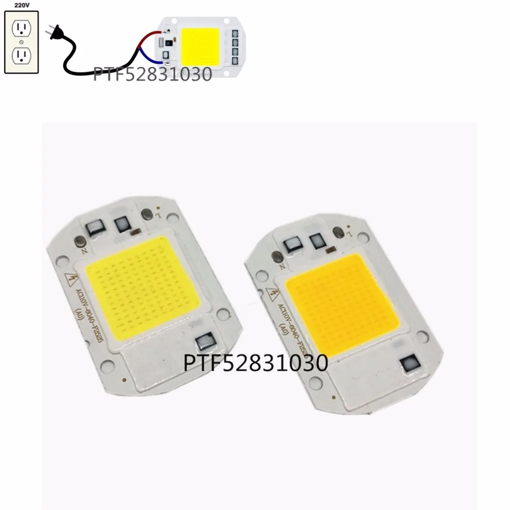 Smart IC Driver Input Integrated 20W 30W 50W LED Floodlight COB 110V 220V