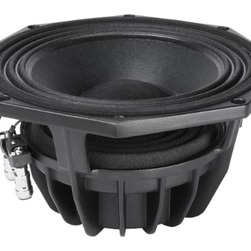 The speaker is originally equipped with W8N8-200 8-inch neodymium magnetic bass