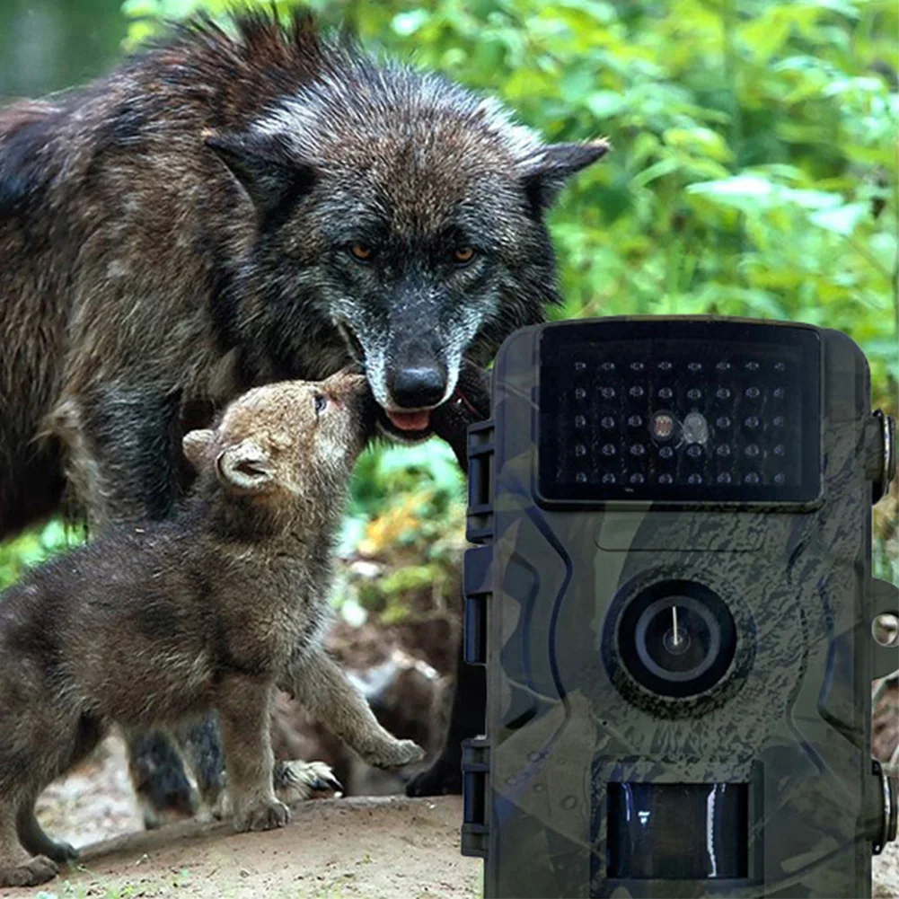 Hunting Trail Camera Motion Activated Infrared Night Vision Security Cam Animal Observation Camera for Outdoor Wildlife Hunting