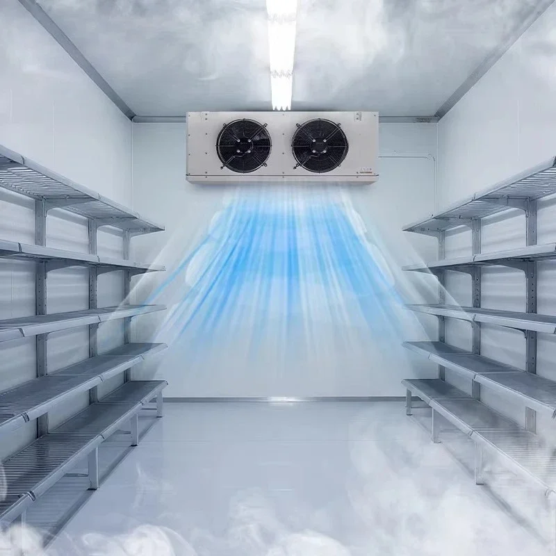 Large refrigeration freezer walk-in freezer with energy-efficient compressor and automatic defrosting