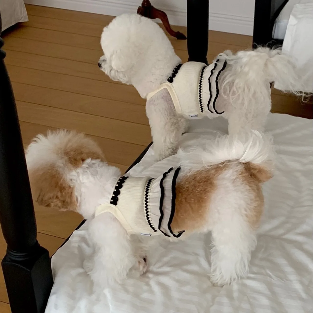 

Bichon Frise Beige Dress Summer Teddy Vest Hairproof Dog Clothes Pet Pretty Halter Fashion Puppy Skirt Dog Products