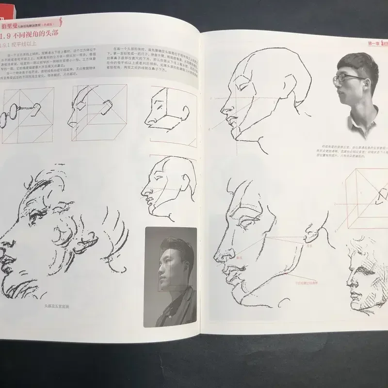 Buriman's Human Body Structure Tutorial: Art Mastery Collection Sketches, Basic Drawing Techniques, and Dynamic Anatomy Guide