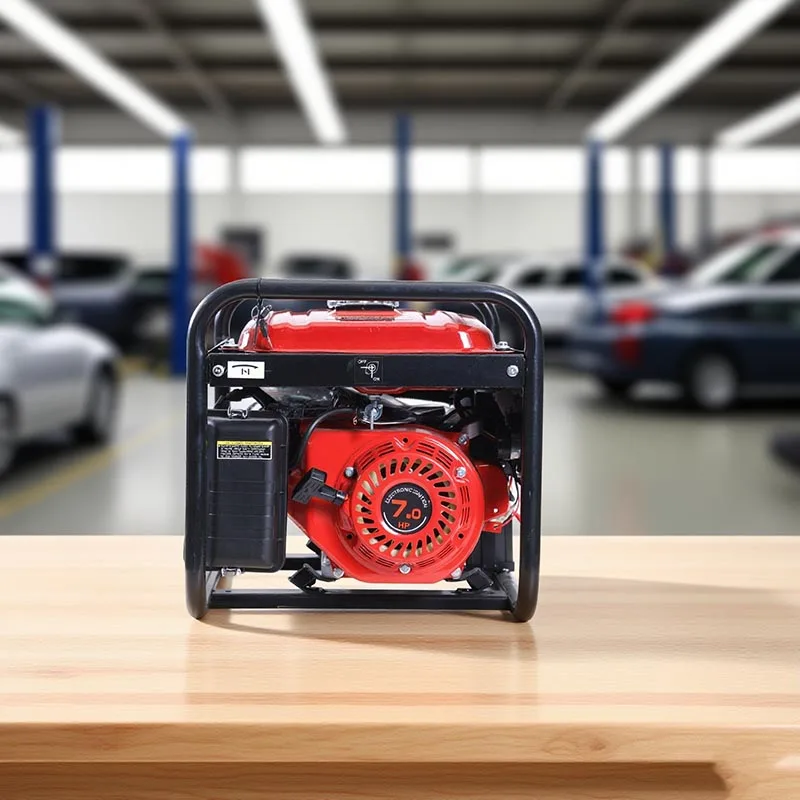 

Petrol Portable Generator Noiseless Quiet and Lightweight Emergency Power Supply Suitable for Household Electricity Inverter