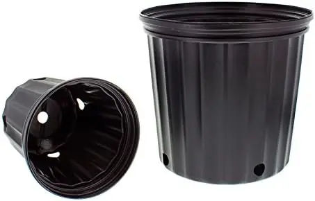 

Two Gallon, Black (Trade) Nursery Container Pot - 60/Bundle