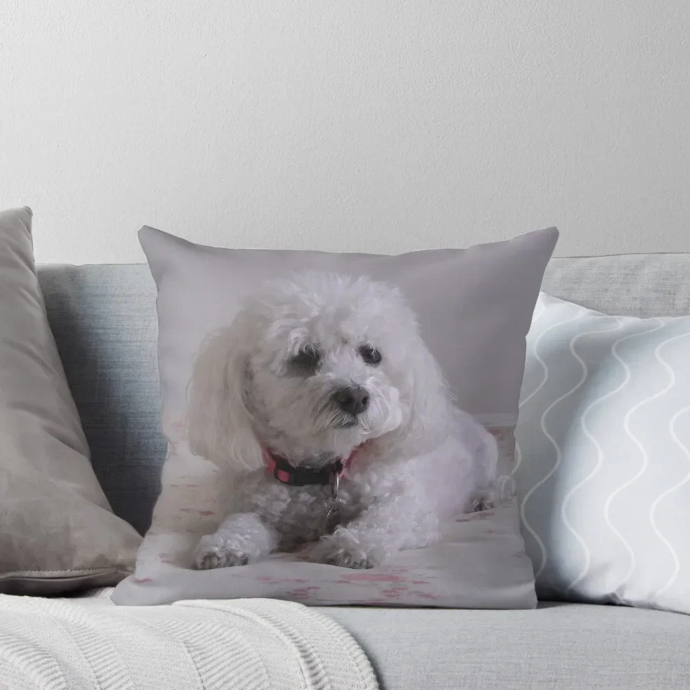 Molly the Bichon Frise Throw Pillow autumn pillowcase Pillow Case Luxury Sofa Cushions pillow