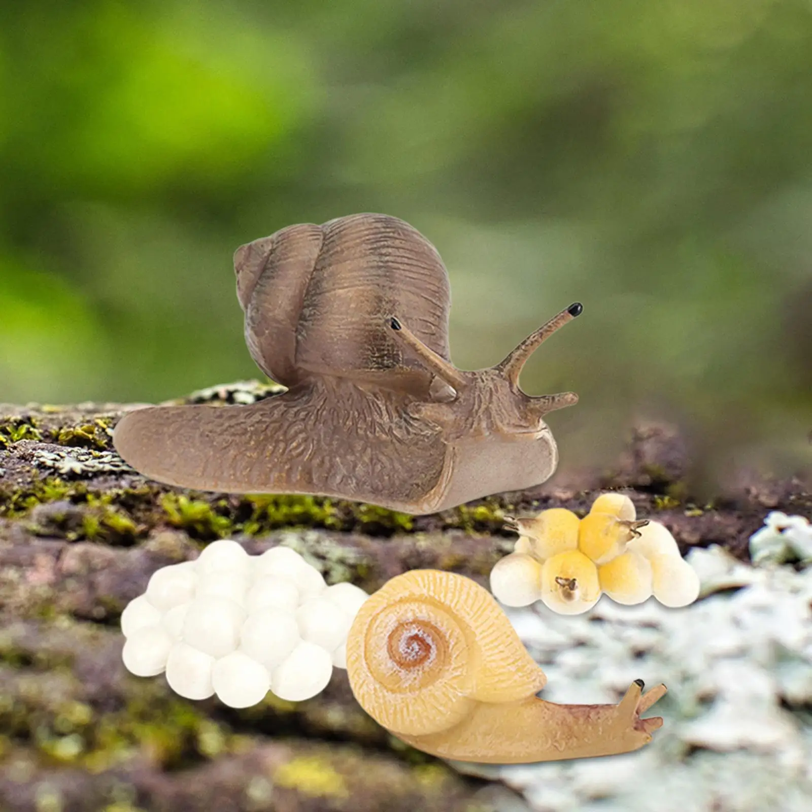 Figura de ciclo de crecimiento de vida Animal, figuras de acción educativas, realistas