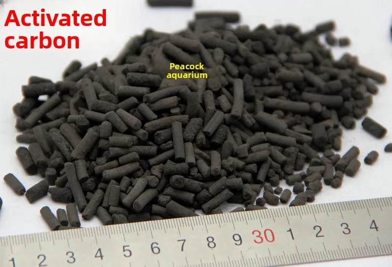 Aquarium Activated …