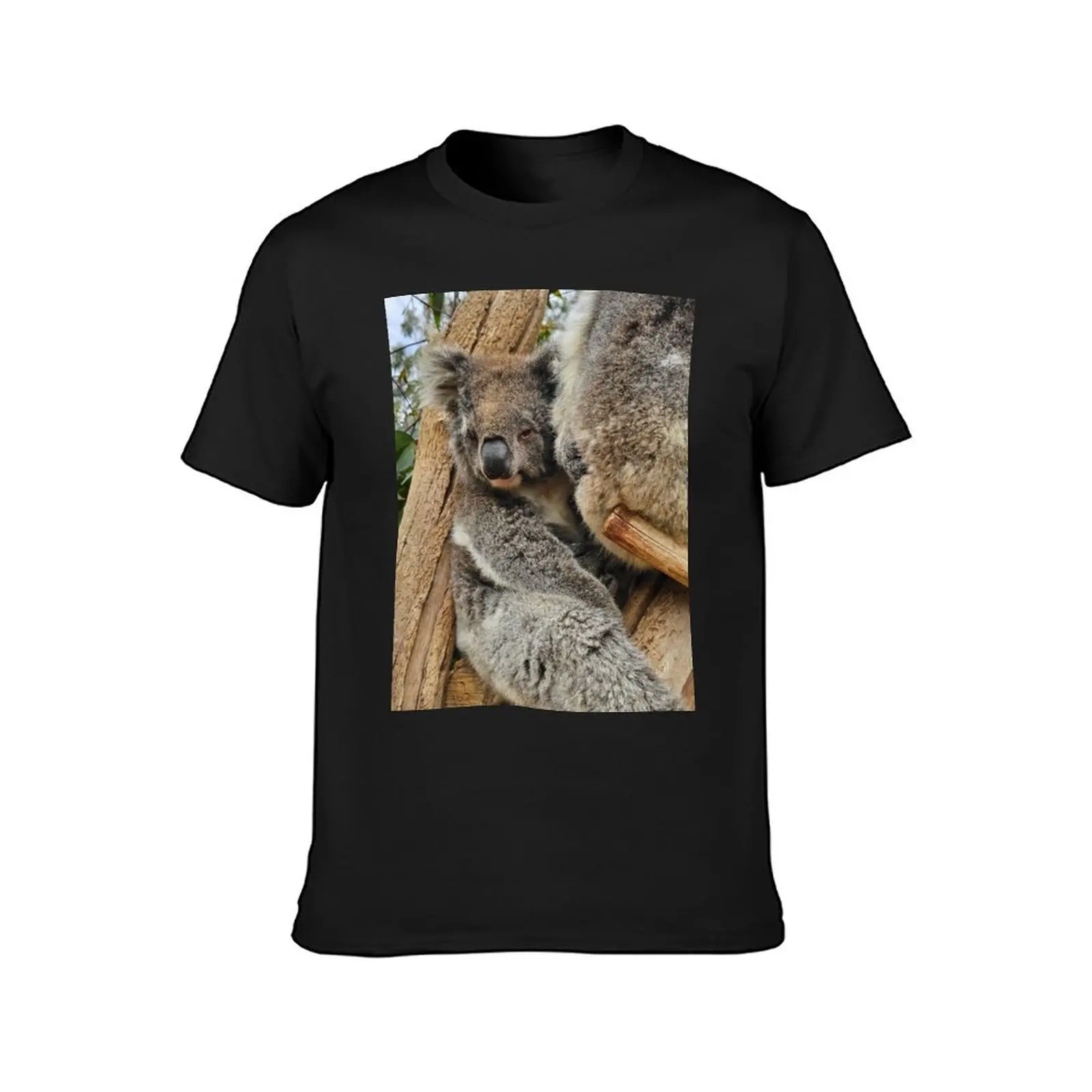 Cute and cuddly koalas T-Shirt korean fashion Short sleeve tee plus sizes vintage t shirts for men cotton