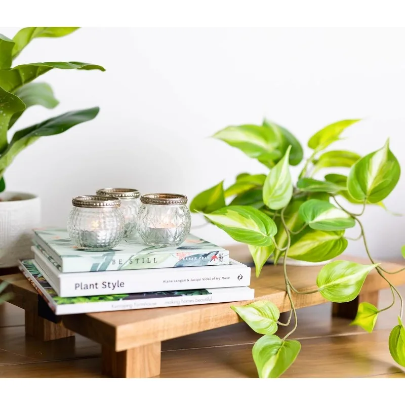 Fake pothos Plant | Fake Plant for Shelf Decor |14