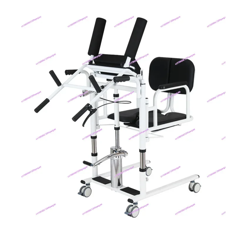 Lift, Multi-functional, Paralyzed Patient Care Artifact, Disabled Person, Electric Lifting Bathing and Toilet Chair