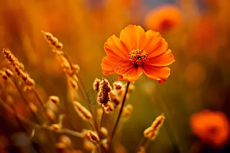 

2.2-inch RC Beadlock Wheel Rims for 1/10 Axial SCX10 TRX4 TRX6 D90 Wraith Capra RC Crawler Aluminum Alloy Wheel Upgrade Parts