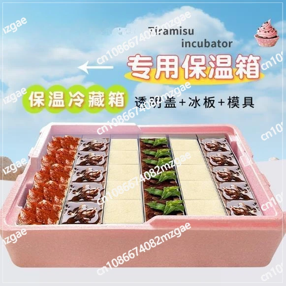 Portable Insulated Foam Cooler Box: Transparent Cover Design, Also for Tiramisu Mold Storage