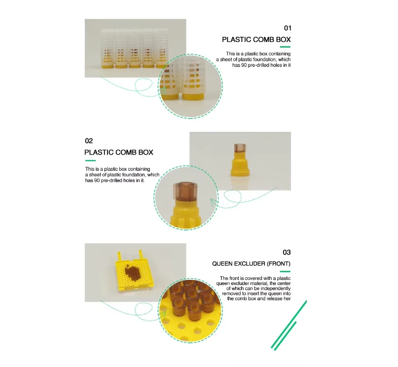 1Set Jenter Apiculture Kit Transfer Box Breeding High Accepted Virgin Plastic Incubator Box Worms Egg Larva Transferred