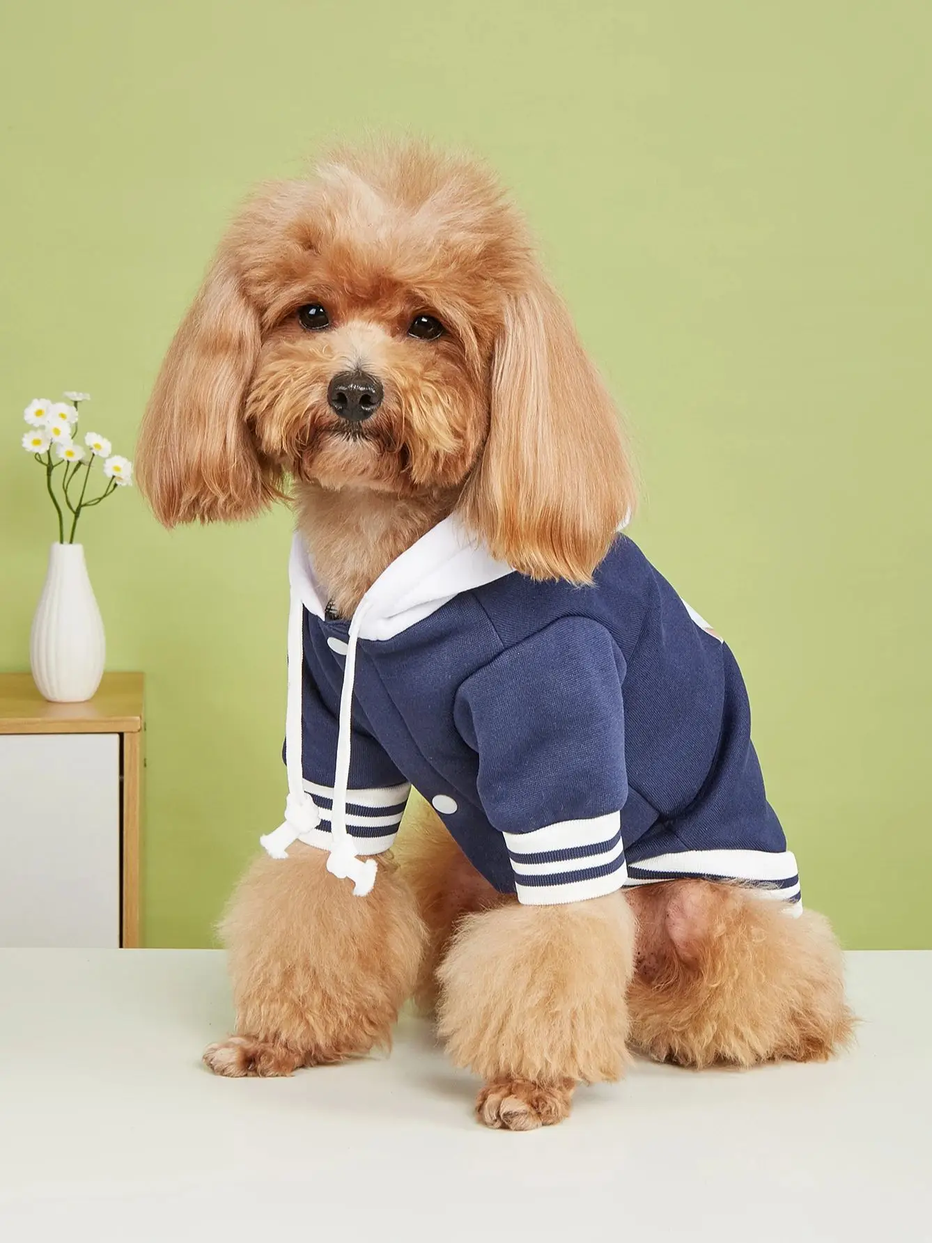 Pet clothes dog dog cat with hat jacket warm and comfortable clothes with running bear pattern white navy blue new piece