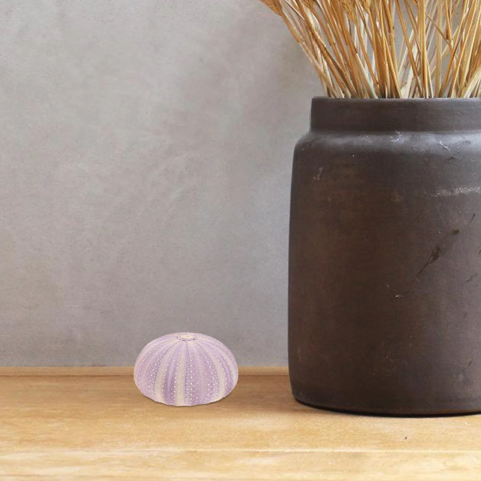 

3Pcs Mini Planting Pots Natural Dried Sea Urchin Shells Special Shape Design Adorable Creations for Balcony Windowsill Decor