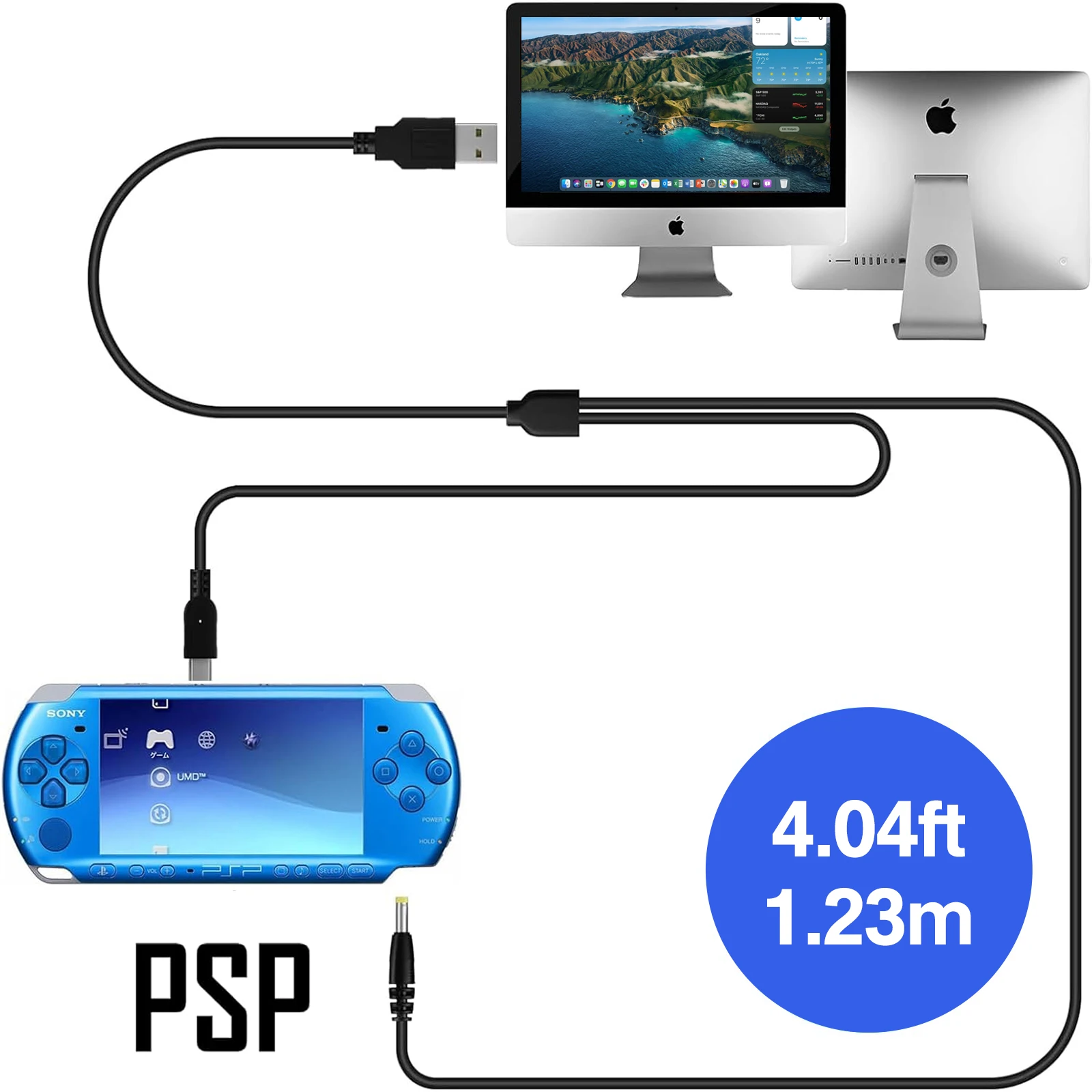 UWayor PSP 3000/2000 Battery 1600mAh with PSP Charger Cable for PSP3000/PSP2000, PSP-3001, PSP-3000, PSP-3002, PSP-S110 Console