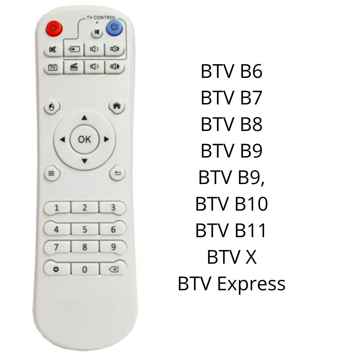 Universal B-TV BTV Remote Control Works on All Models