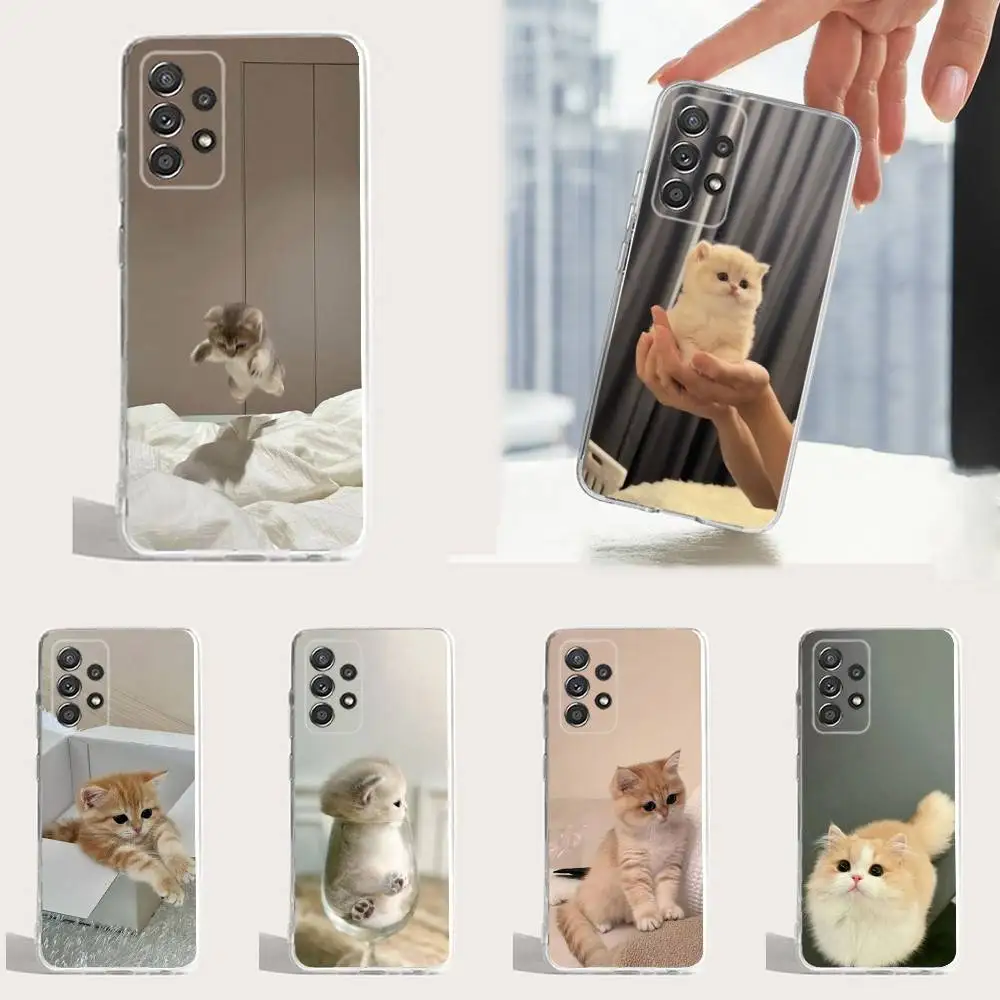 

Cute Animals Clingy Cats Case For Samsung A30,71,51,S9,10,20,Ultra,FE,Lite,S25,24,22,23,21,PIus,Transparent, Silicone Case