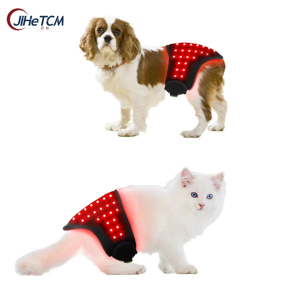 Zenjoy TLDOG Wearable Dog Body Wrap LED Infrared Red Light Therapy Belt 660nm/880nm Wavelength 192-chip LEDs 120 Beam