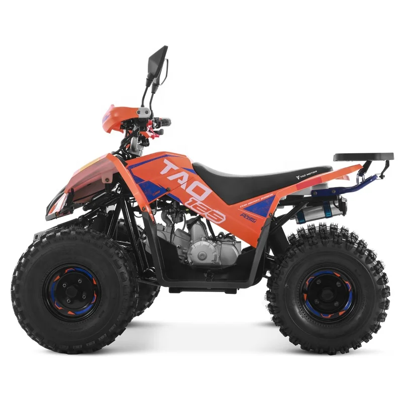 ATV 125cc Quad Bike, 4-Stroke Off-Road ATV for Kids and Adults, Electric Start Youth Quad, All-Terrain Recreational Vehicle