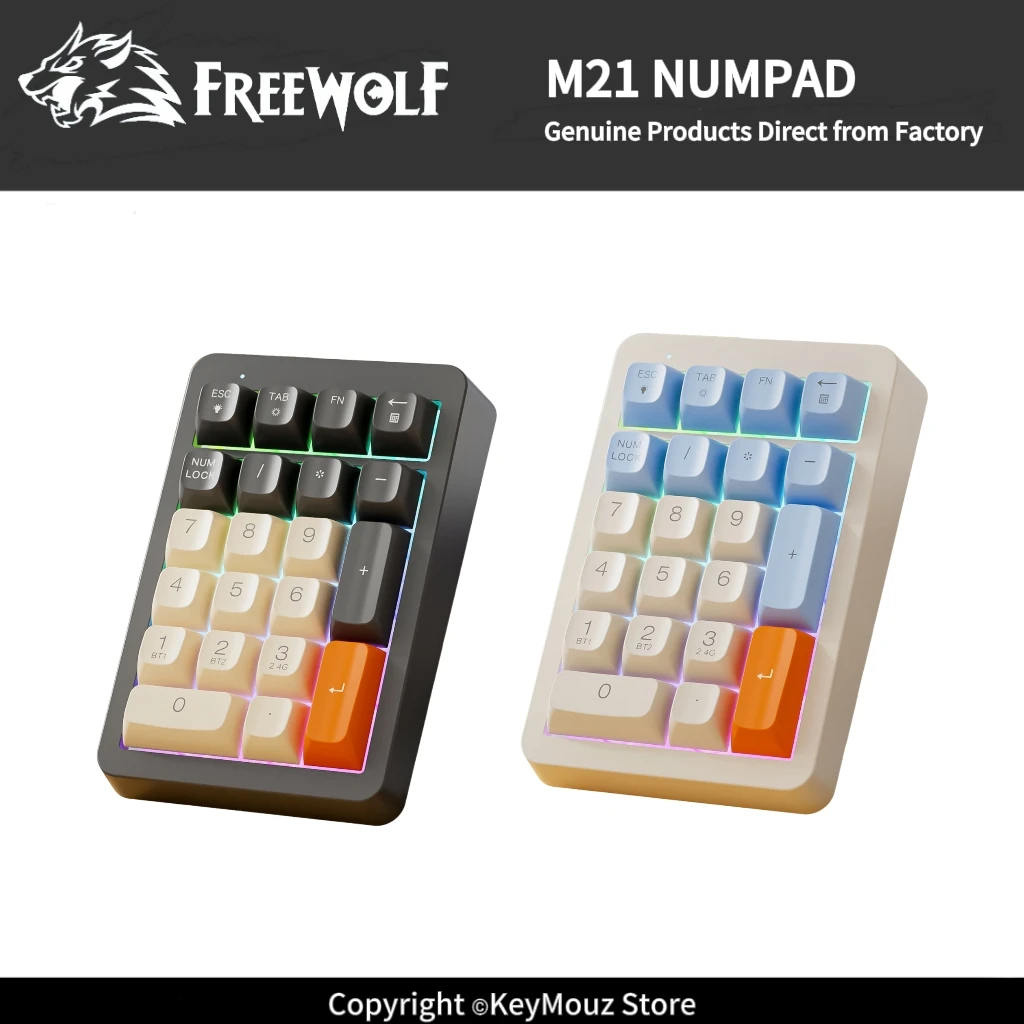 FREEWOLF M21 Bluetooth Number Pad Type-C Rechargeable Colorful Backlit Ergonomic 21 Keys for Accounting Bank Cashier