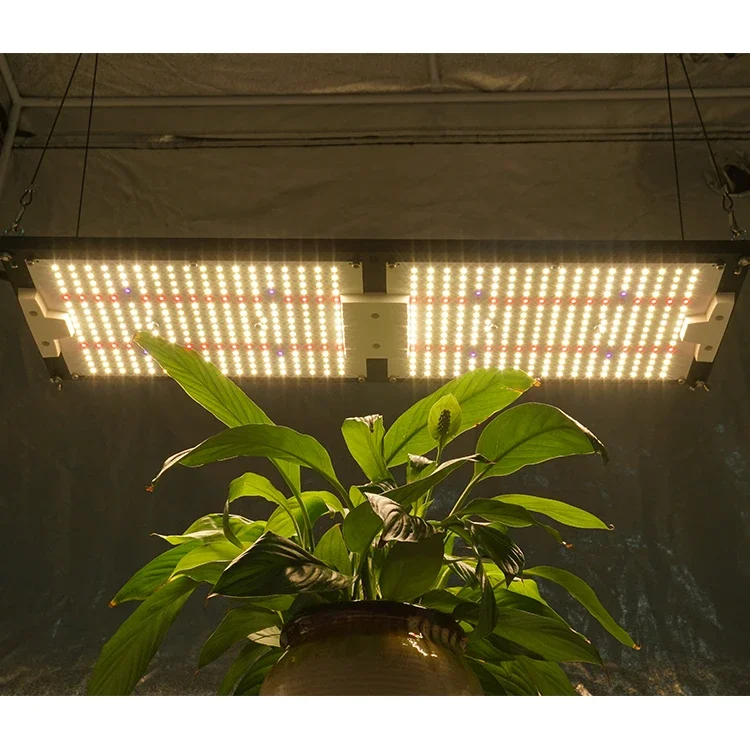 

Free to RU, Pre-assembled UV+IR+epistar 660nm red+LM301H 240W kingbrite 288 boards led grow light