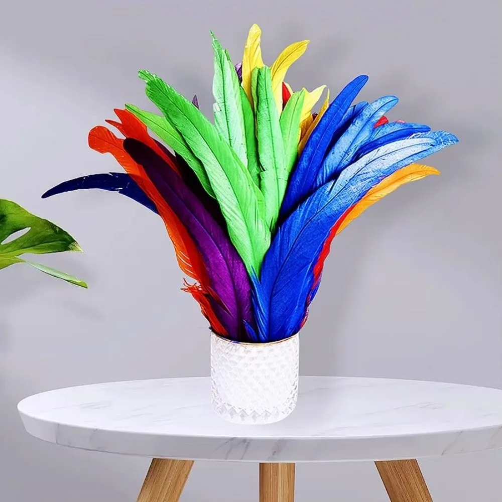 20Pcs Decorative Feather Plumes Rooster Tail Feathers Natural Feather 25-30cm Length Natural Rooster Feathers Smooth Surface