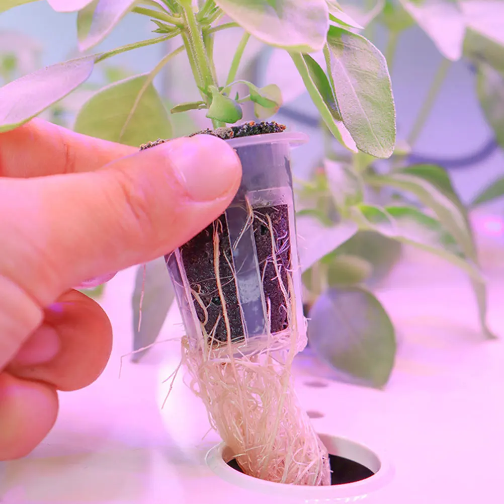 

Seedling Block Nursery Pots 12 Sets Planting Bucket Slotted Net Cups Hydroponics Baskets Soilless Safe Durable