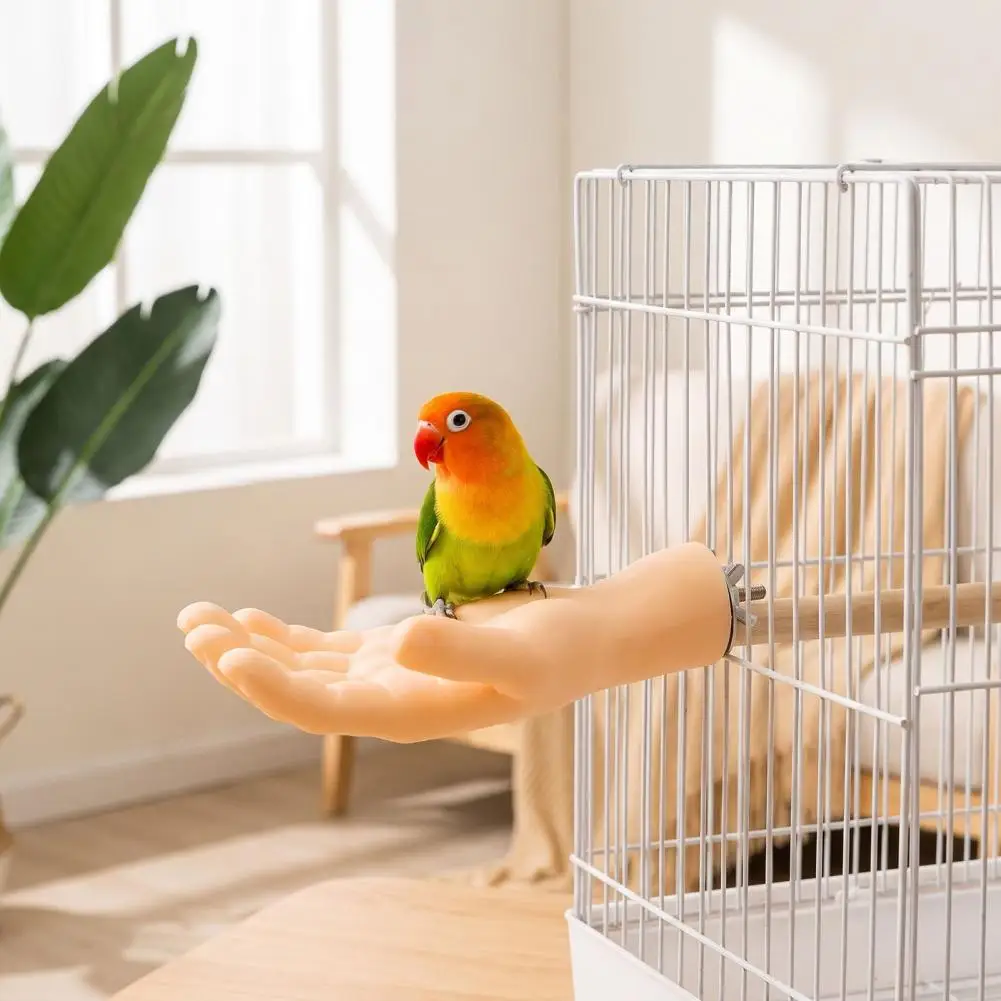 Realistic Hand Bird Perch Bird Perch for Cage Hand-shaped Parrot Perch Stand with Screw Fastener Non-slip Bird Cage for Budgie