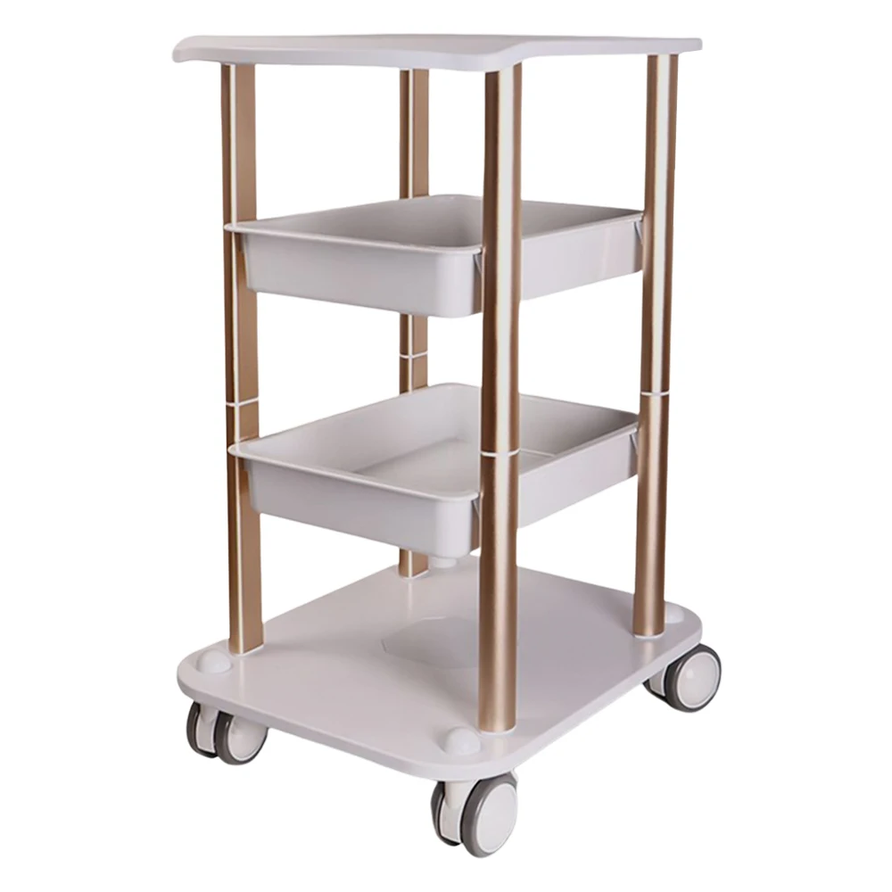 Beauty Trolley Cart on Wheels, 3 Tier Mobile Beauty Rolling Cart 220 Lbs Capacity Salon Organizers for Hair Salon, SPA Salon