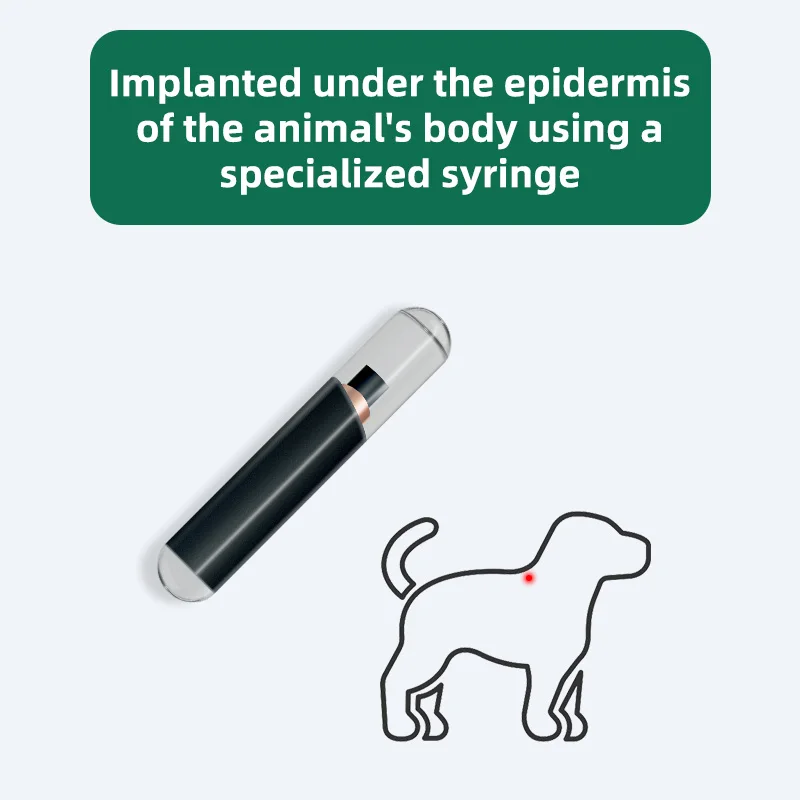 10 Cái/lốc 2.12 * 12mm134.2KHz RFID Kính Thẻ Dành Cho Thú Cưng Nhận Dạng, thẻ Dành Cho Animalidentification Rfid Viên Dành Cho Cá Chó Ngựa