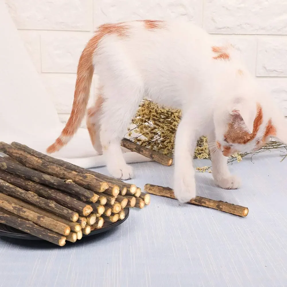 Thumbnail 3 - #80 Best Cat Toys to Buy In 2026