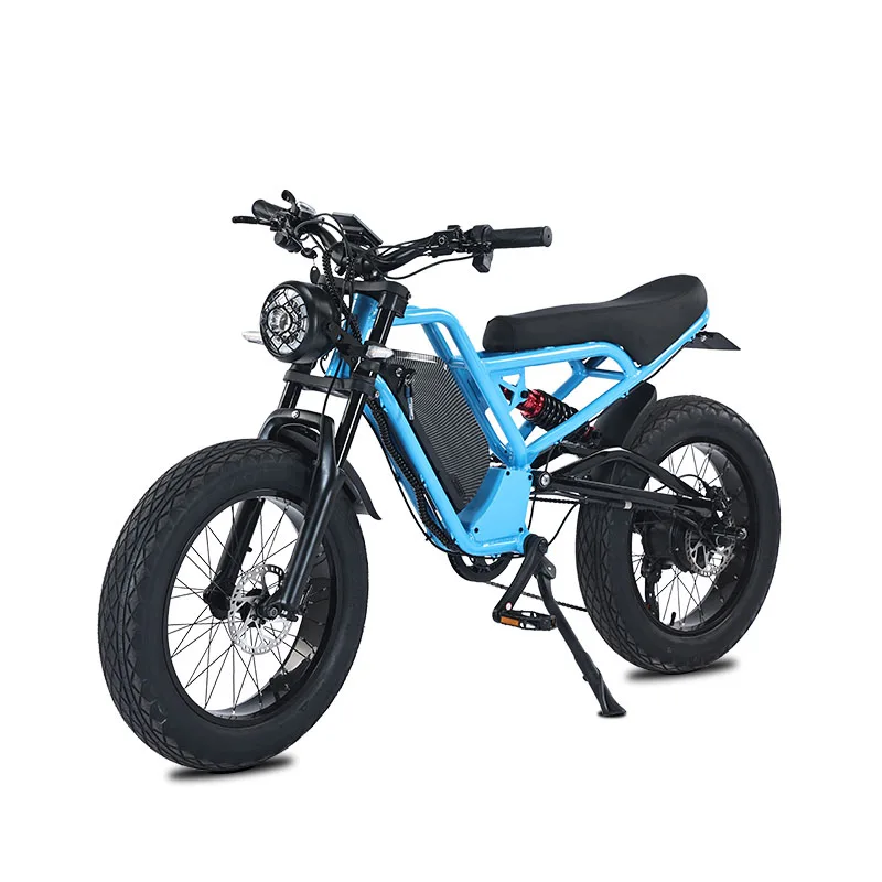 

SXLL 20 inch 750W/1500W electric bicycle with lower tube lithium battery aluminum frame Ebike 48v electric bicycle motor oil bra