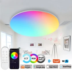 Ceiling Lamp LED Light For Home Chandelier RGB CCT APP Voice Control AC 220V 300mm Alexa Google Smart Lamp for Home