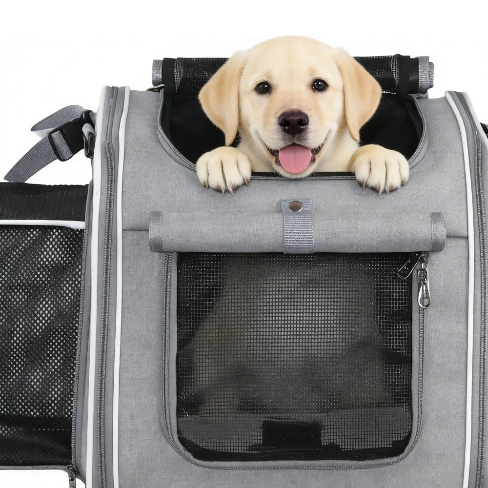 Sac à dos de transport pour animaux de compagnie à parois souples, ventilation en maille, espace extensible, panier de vélo pour chien, structure pliable à ouvertures multiples