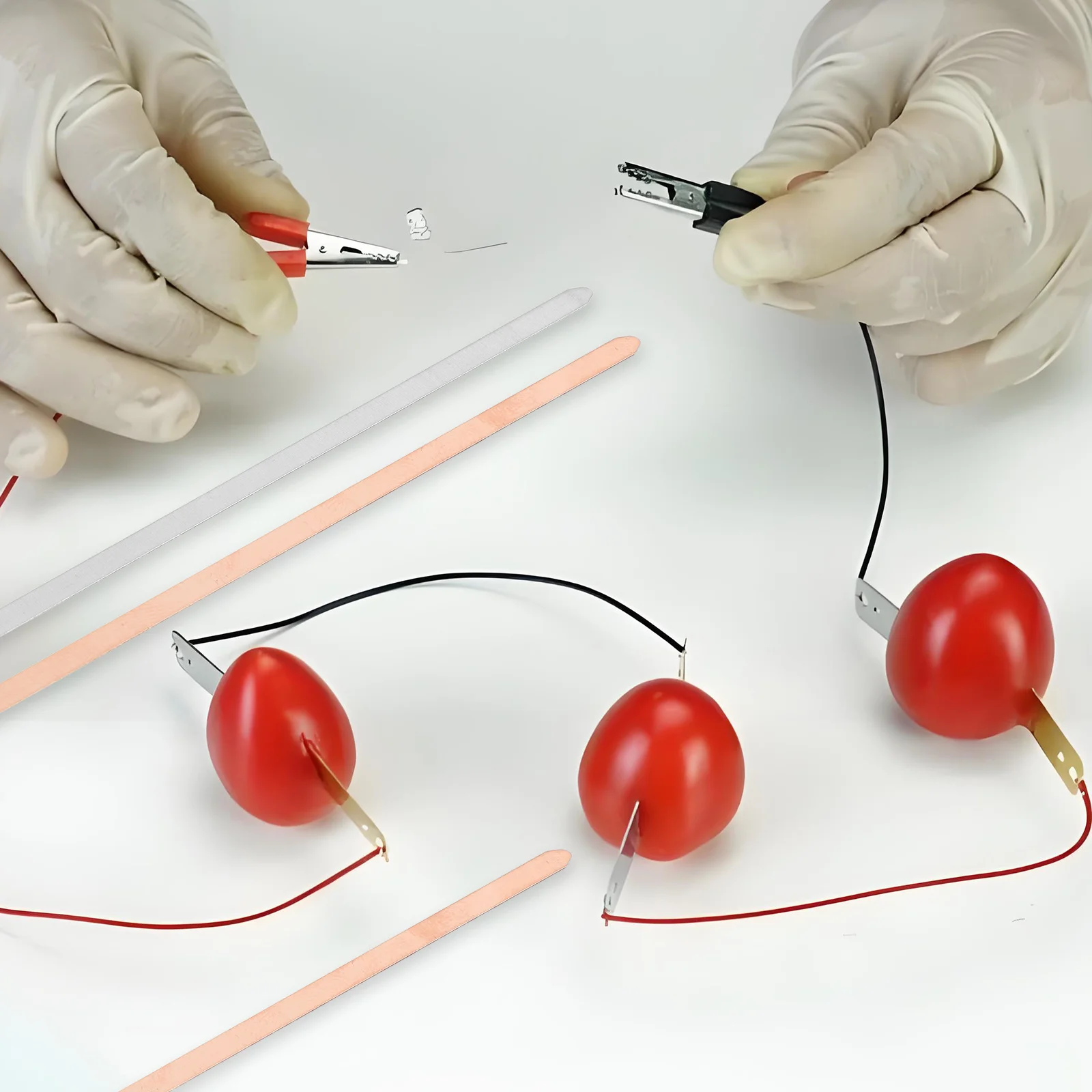 Kit di esperimenti scientifici da 20 pezzi Strisce di zinco in rame per progetti di frutta fai-da-te Attività di laboratorio con stelo educativo Fisica scolastica